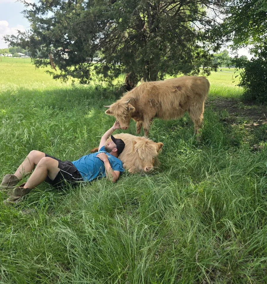 Dustin Poole resting in the pasture with two Highland cattle